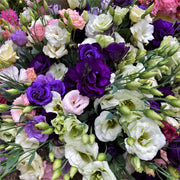 Floral Mix Lisianthus Seeds