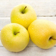 Golden Yellow Apple Seeds