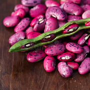Scarlet Runner Bean Seeds