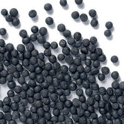 Shatavari Seeds - Herbal Plant For Home Gardens Seeds