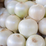 Paris Silverskin Pearl Onion Seeds