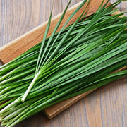 Allium tuberosum Chinese Chive Seeds, Herbal