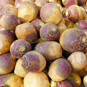 Brown Purple Rutabaga Seeds