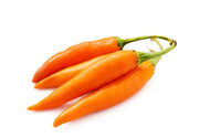 Orange Chili Seeds