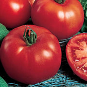 Red Siberian Tomato Seeds