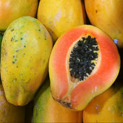 Kapoho Solo Sweet Hawaiian Papaya Seeds