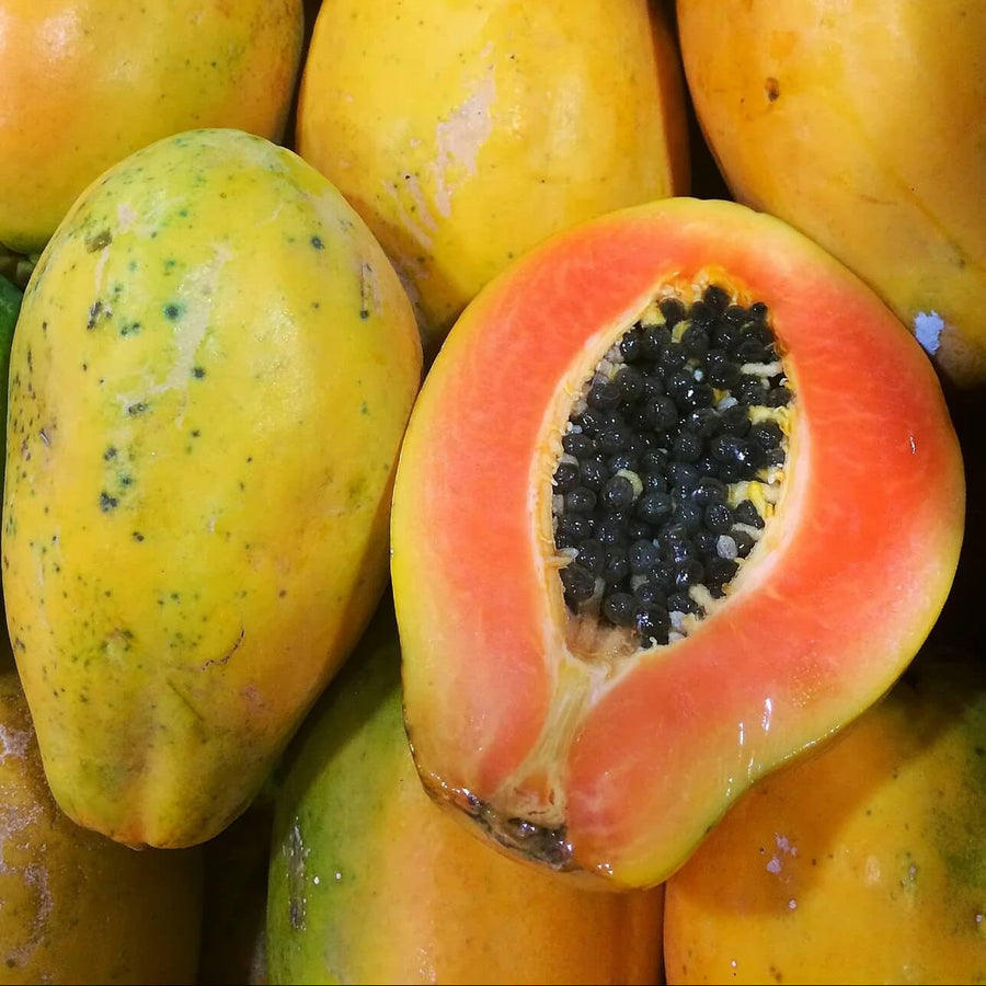 Kapoho Solo Sweet Hawaiian Papaya Seeds