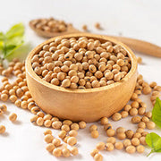 Protein-Rich Soybean Seeds
