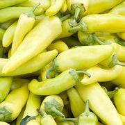 Hungarian Cecei Sweet Pepper Seeds
