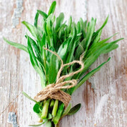 Heirloom Tarragon Seeds, Herbal