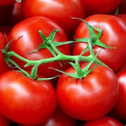 Heidi Tomato Seeds