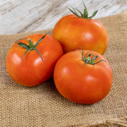 Atkinson Tomato Seeds