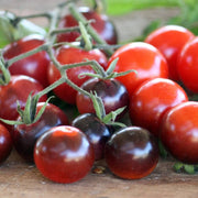 Mixed Blueberries Tomato Seeds