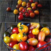 Mixed Cherry Tomato Seeds