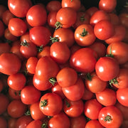 Geranium Kiss Tomato Seeds