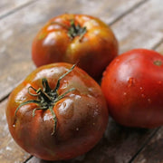 Dwarf Chocolate Tomato Seeds