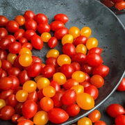 Tomberry Tomato Seeds