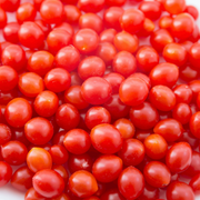 Tomberry Tomato Seeds
