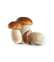 Brown Mushroom Seeds