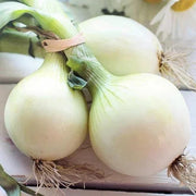 Crystal White Onion Seeds