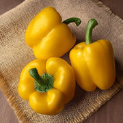Yellow Bell Pepper Seeds